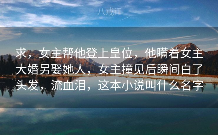 求，女主帮他登上皇位，他瞒着女主大婚另娶她人，女主撞见后瞬间白了头发，流血泪，这本小说叫什么名字