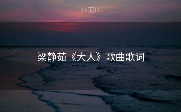 梁静茹《大人》歌曲歌词