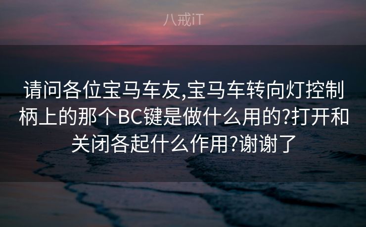 请问各位宝马车友,宝马车转向灯控制柄上的那个BC键是做什么用的?打开和关闭各起什么作用?谢谢了
