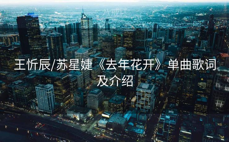 王忻辰/苏星婕《去年花开》单曲歌词及介绍