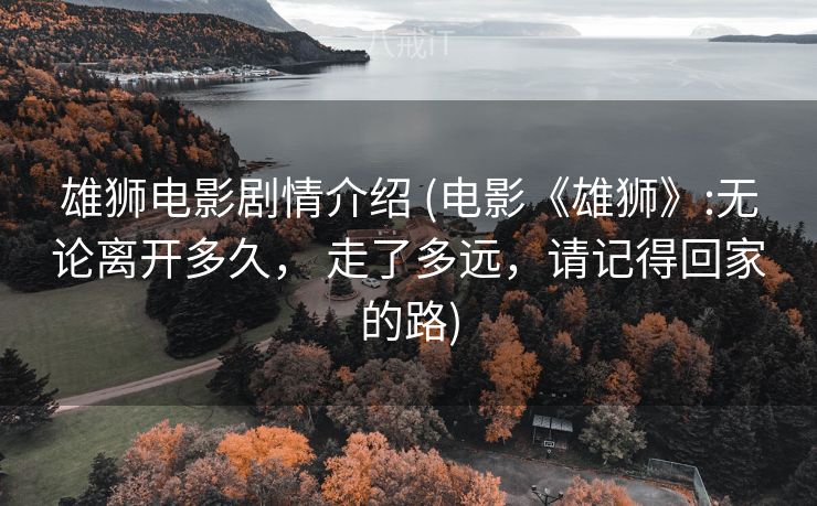 雄狮电影剧情介绍 (电影《雄狮》:无论离开多久， 走了多远，请记得回家的路)