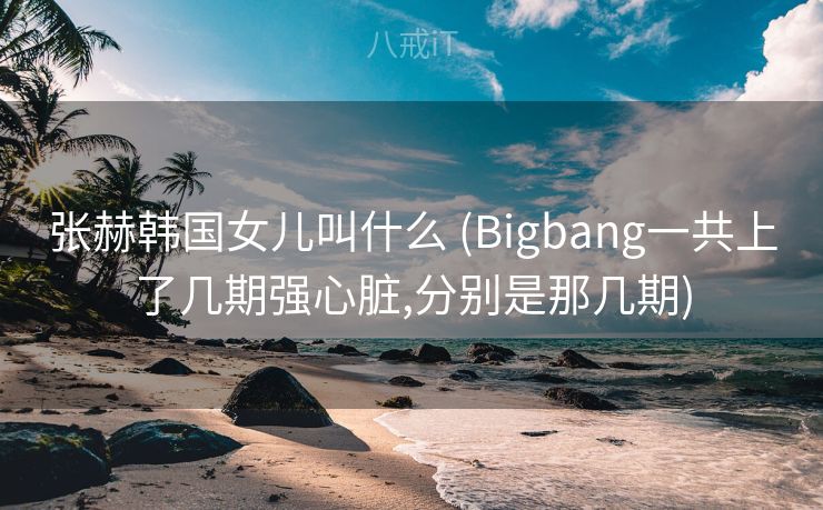 张赫韩国女儿叫什么 (Bigbang一共上了几期强心脏,分别是那几期)
