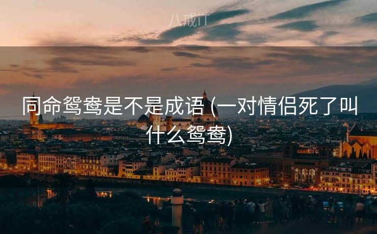 同命鸳鸯是不是成语 (一对情侣死了叫什么鸳鸯)