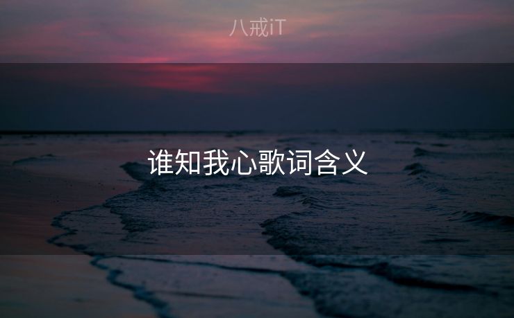 谁知我心歌词含义