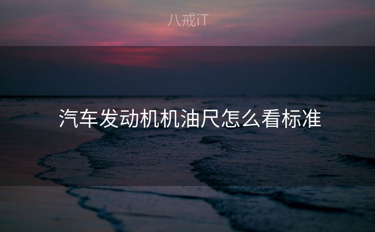  汽车发动机机油尺怎么看标准