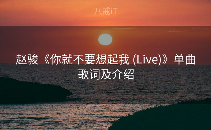 赵骏《你就不要想起我 (Live)》单曲歌词及介绍 赵骏《你就不要想起我 (Live)》单曲歌词及介绍