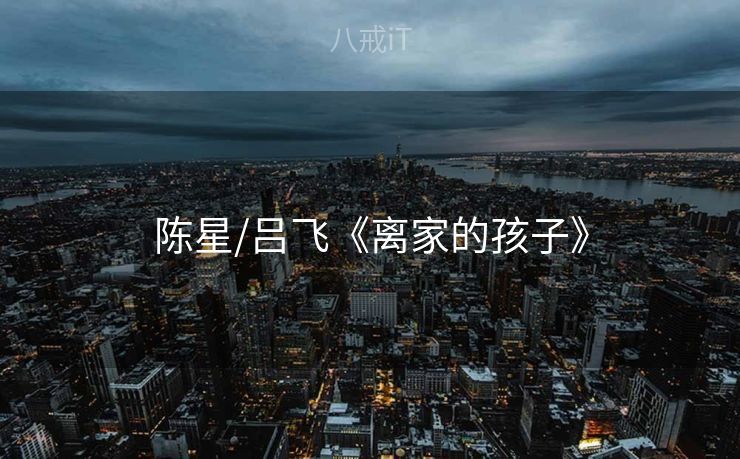 陈星/吕飞《离家的孩子》 陈星/吕飞《离家的孩子》