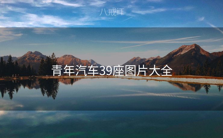 青年汽车39座图片大全