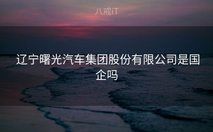  辽宁曙光汽车集团股份有限公司是国企吗