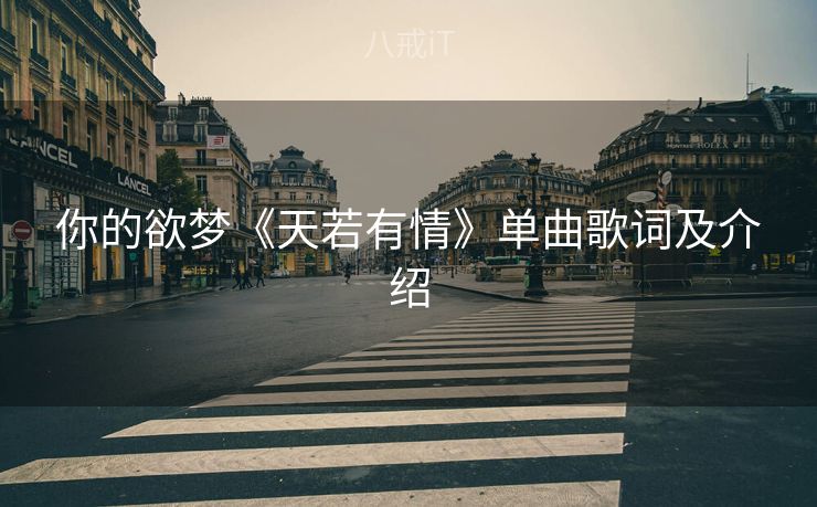 你的欲梦《天若有情》单曲歌词及介绍 你的欲梦《天若有情》单曲歌词及介绍