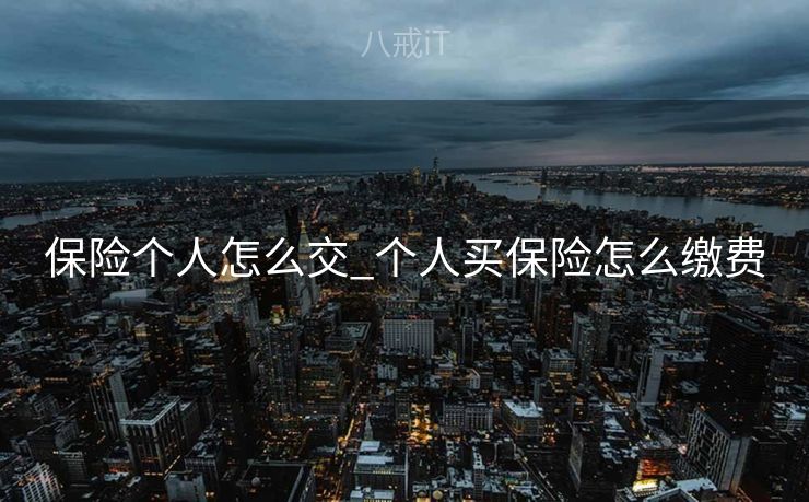 保险个人怎么交_个人买保险怎么缴费