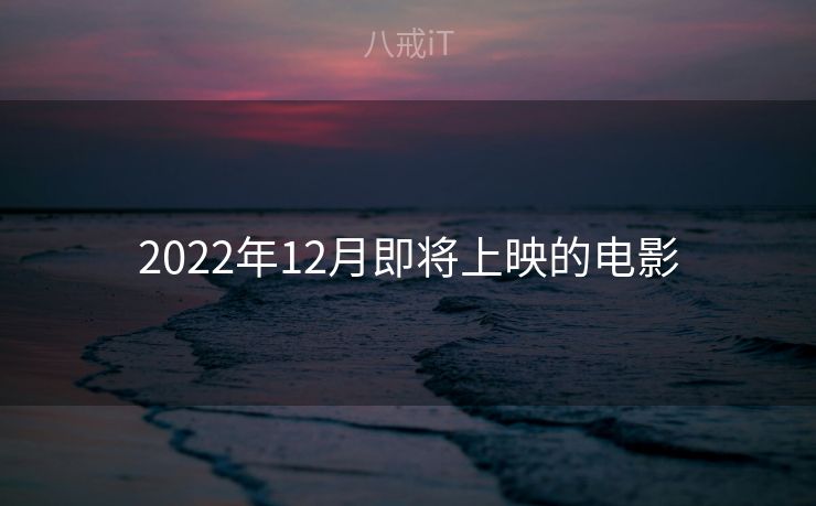 2022年12月即将上映的电影