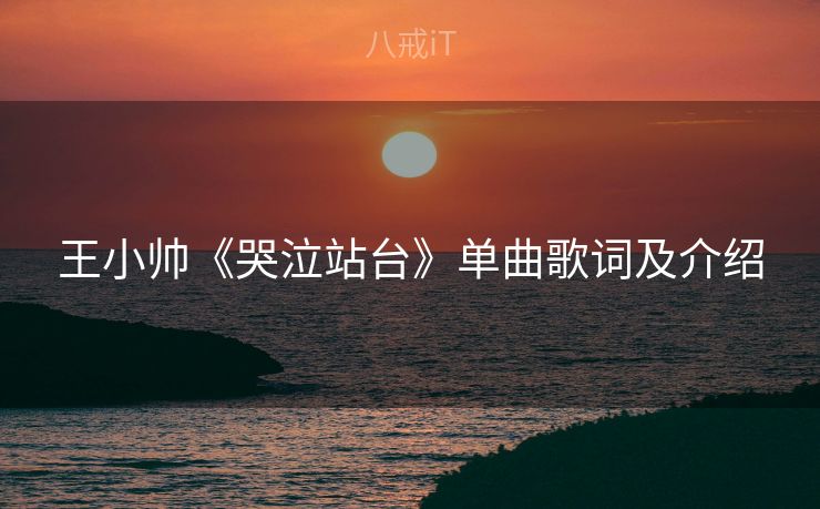 王小帅《哭泣站台》单曲歌词及介绍