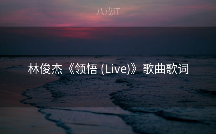 林俊杰《领悟 (Live)》歌曲歌词
