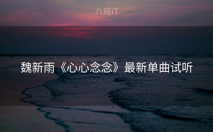 魏新雨《心心念念》最新单曲试听