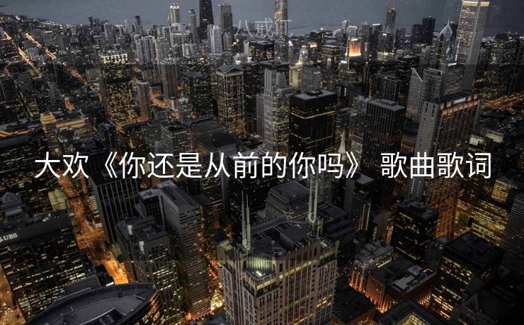 大欢《你还是从前的你吗》 歌曲歌词 大欢《你还是从前的你吗》 歌曲歌词