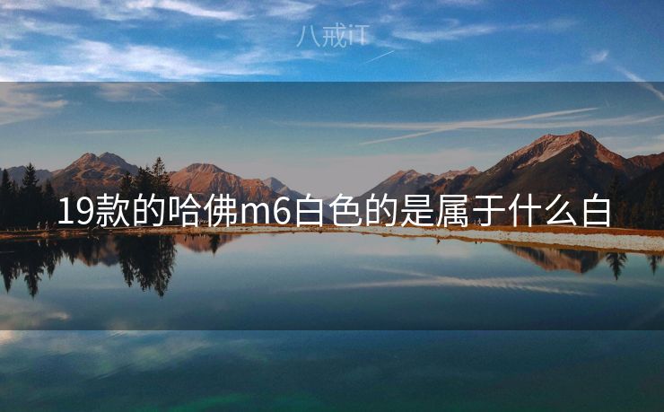 19款的哈佛m6白色的是属于什么白