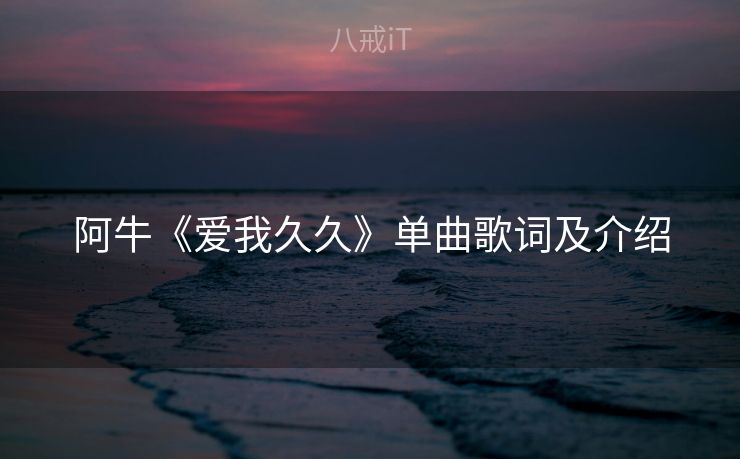 阿牛《爱我久久》单曲歌词及介绍