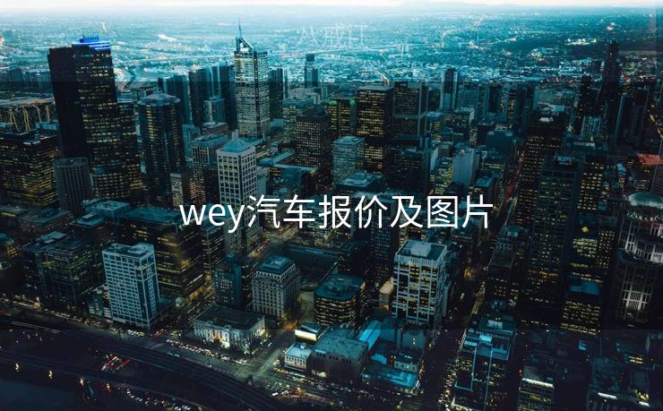  wey汽车报价及图片