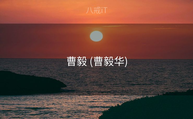 曹毅 (曹毅华) 曹毅 (曹毅华)