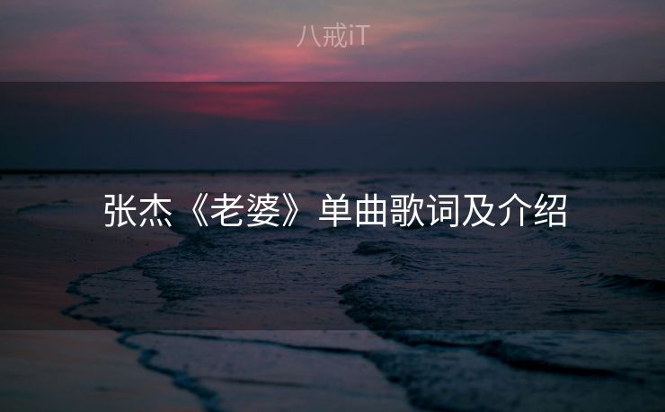 张杰《老婆》单曲歌词及介绍