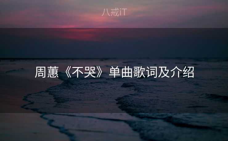 周蕙《不哭》单曲歌词及介绍