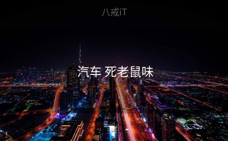  汽车 死老鼠味