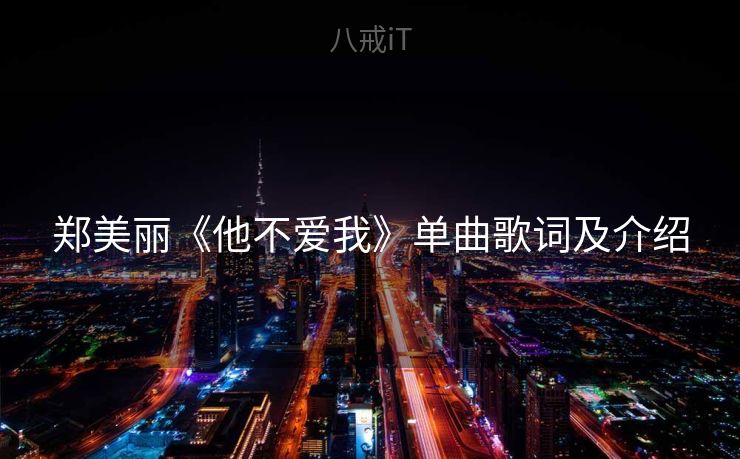 郑美丽《他不爱我》单曲歌词及介绍
