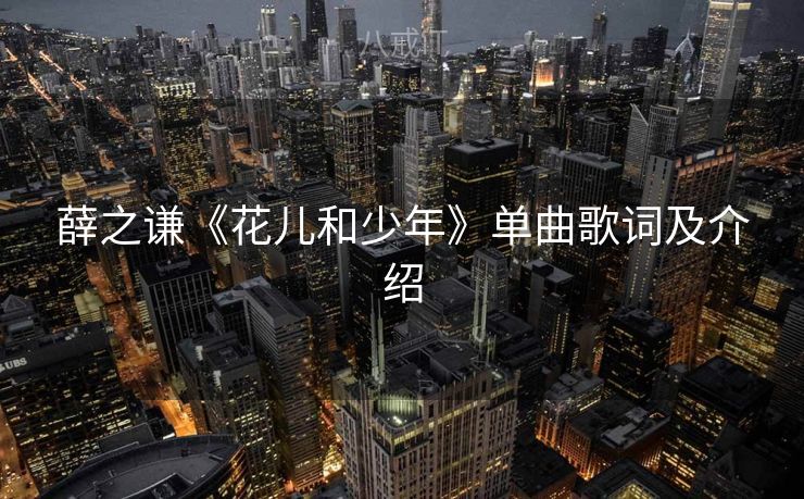 薛之谦《花儿和少年》单曲歌词及介绍