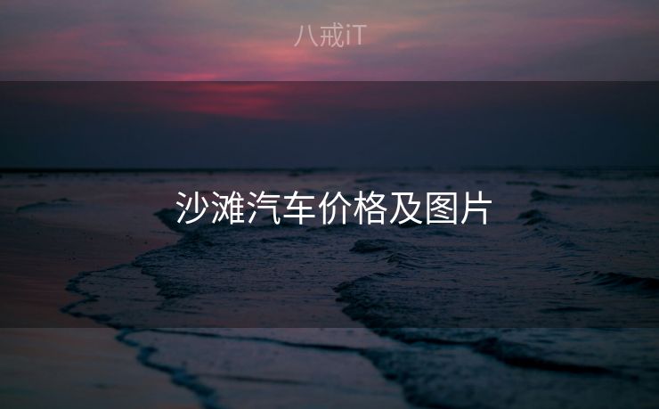  沙滩汽车价格及图片