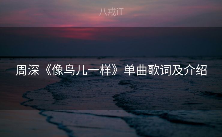 周深《像鸟儿一样》单曲歌词及介绍
