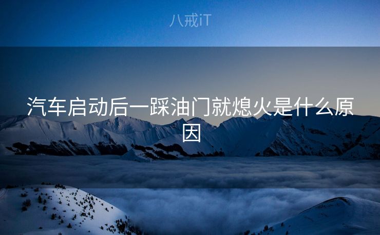 汽车启动后一踩油门就熄火是什么原因