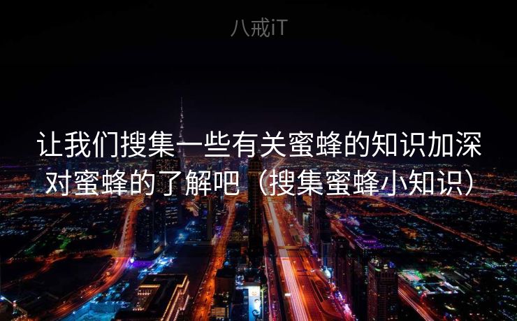 让我们搜集一些有关蜜蜂的知识加深对蜜蜂的了解吧（搜集蜜蜂小知识）