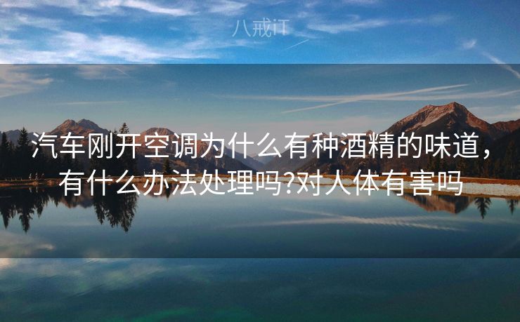 汽车刚开空调为什么有种酒精的味道,有什么办法处理吗?对人体有害吗 汽车刚开空调为什么有种酒精的味道,有什么办法处理吗?对人体有害吗