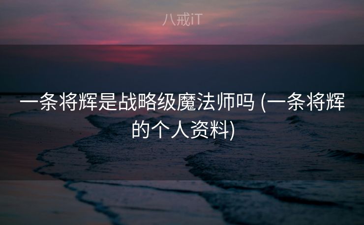 一条将辉是战略级魔法师吗 (一条将辉的个人资料)