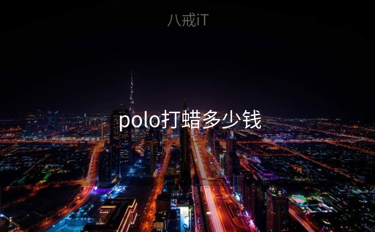  polo打蜡多少钱