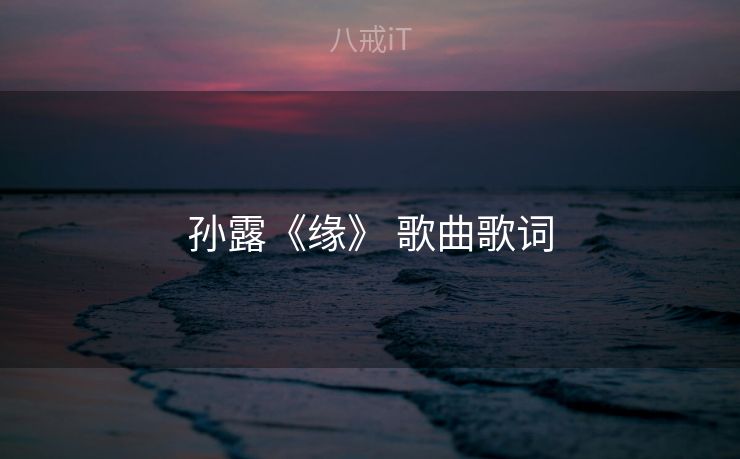 孙露《缘》 歌曲歌词