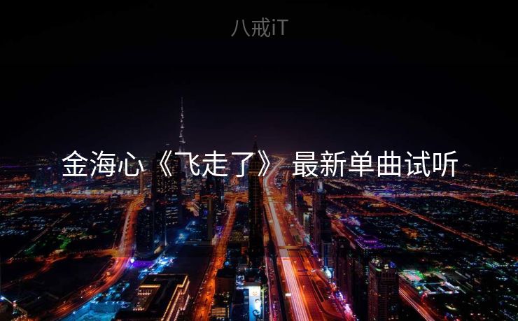 金海心《飞走了》 最新单曲试听