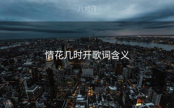 情花几时开歌词含义
