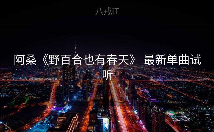 阿桑《野百合也有春天》 最新单曲试听