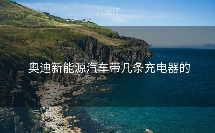 奥迪新能源汽车带几条充电器的  奥迪新能源汽车带几条充电器的