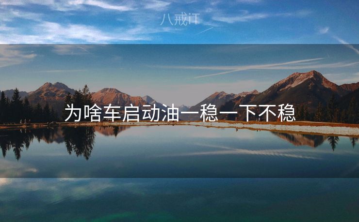 为啥车启动油一稳一下不稳 为啥车启动油一稳一下不稳