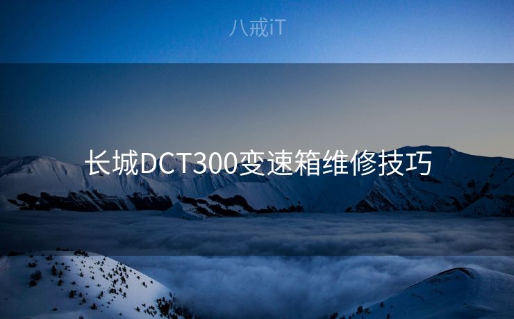 长城DCT300变速箱维修技巧