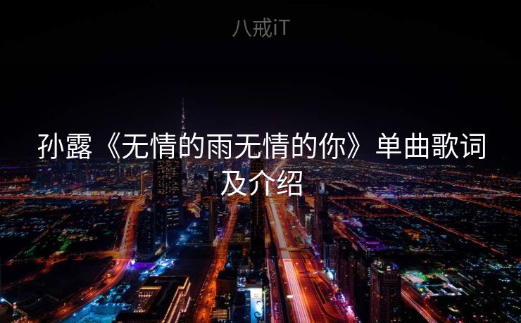 孙露《无情的雨无情的你》单曲歌词及介绍