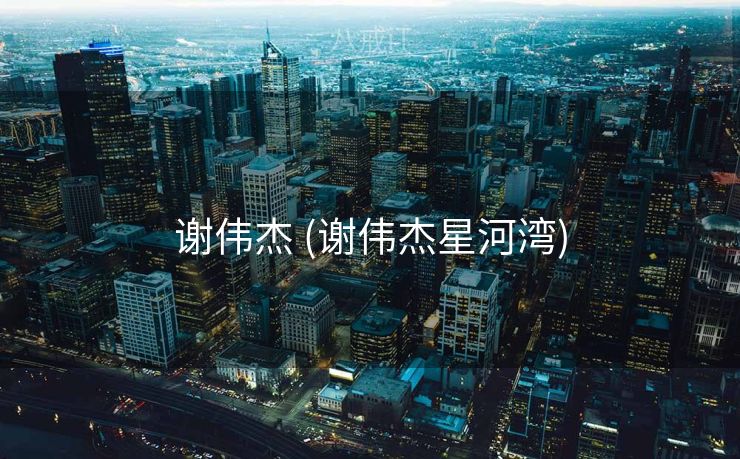 谢伟杰 (谢伟杰星河湾)