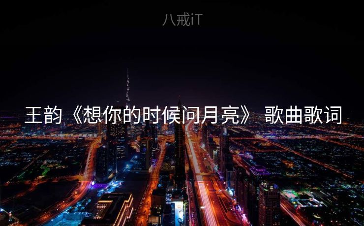王韵《想你的时候问月亮》 歌曲歌词