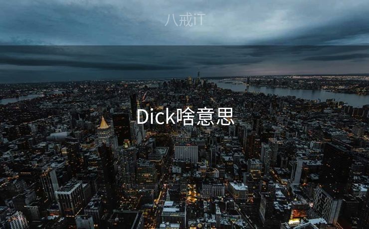 Dick啥意思