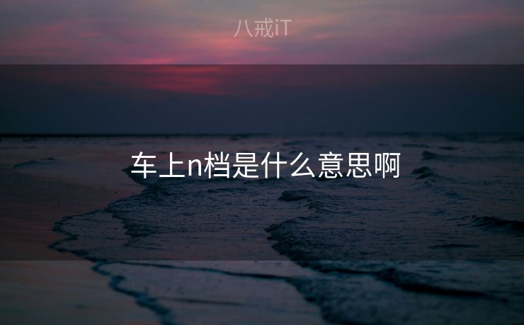  车上n档是什么意思啊