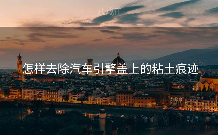  怎样去除汽车引擎盖上的粘土痕迹