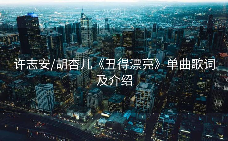 许志安/胡杏儿《丑得漂亮》单曲歌词及介绍